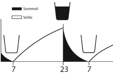 Fig2