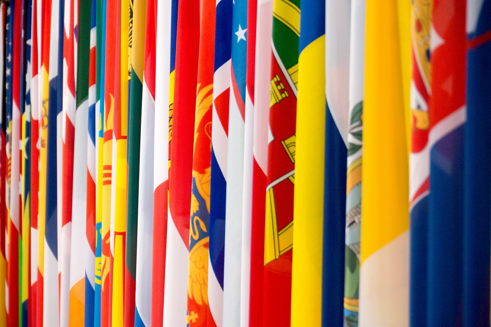 Drapeaux des pays de l'OSCE (© Alex Hammond / FCO / UK in Austria / Flickr)